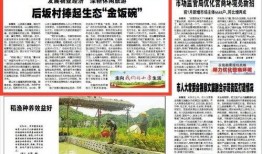 八村最新爆料新闻报道,揭秘背后惊人真相！”